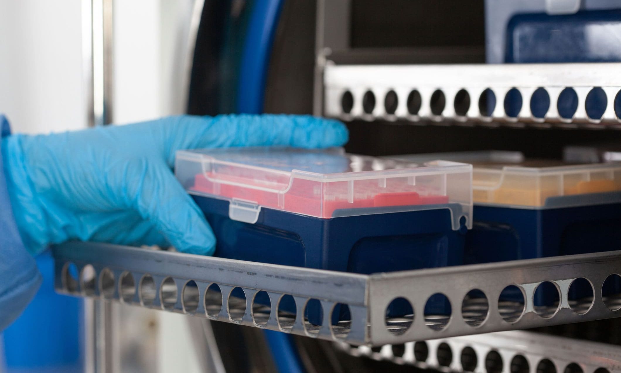 Tudo o que Você Precisa Saber Sobre o Transporte de Materiais Biológicos